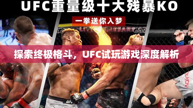 UFC試玩，探索終極格斗的深度游戲體驗(yàn)  第2張