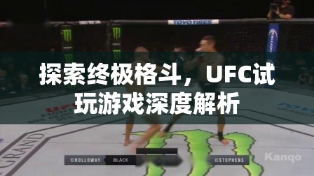 UFC試玩，探索終極格斗的深度游戲體驗(yàn)  第3張