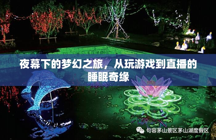 夜幕夢幻之旅，從游戲到直播的睡眠奇緣  第3張