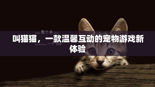 探索叫貓貓，一款溫馨互動的寵物游戲新體驗