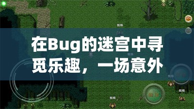 在Bug的迷宮中尋覓樂趣，一場意外的游戲之旅  第1張