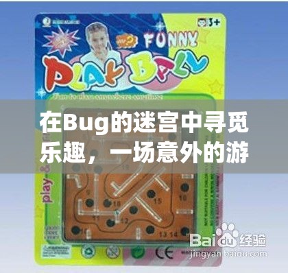 在Bug的迷宮中尋覓樂趣，一場意外的游戲之旅  第3張