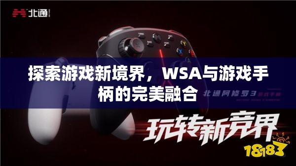 WSA與游戲手柄，探索游戲新境界的完美融合