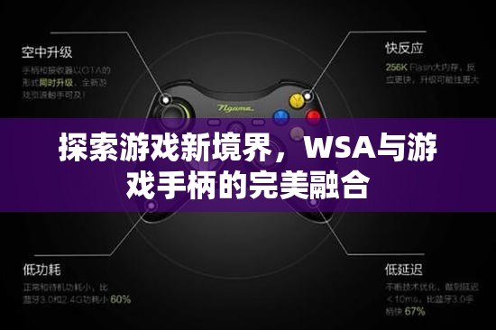 WSA與游戲手柄，探索游戲新境界的完美融合