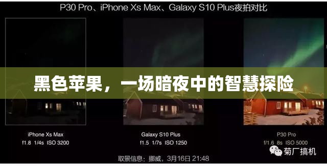 暗夜中的智慧探險(xiǎn)，黑色蘋(píng)果的神秘之旅