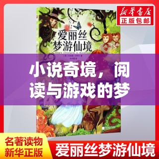 小說奇境，閱讀與游戲的夢幻交融  第1張