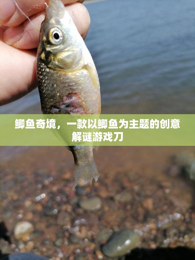 鯽魚奇境，探索鯽魚世界的創(chuàng)意解謎冒險  第3張