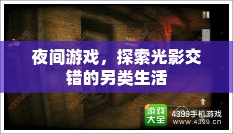 光影交錯，夜間游戲的另類生活探索  第2張