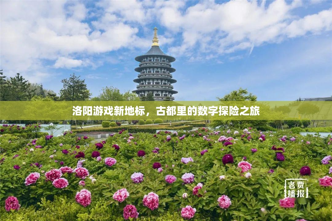 洛陽新地標(biāo)，古都中的數(shù)字探險之旅  第1張