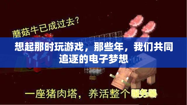 那些年，我們共同追逐的電子夢想，回憶中的游戲時光