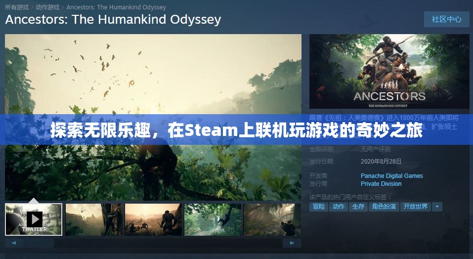 Steam聯(lián)機游戲，探索無限樂趣的奇妙之旅  第2張