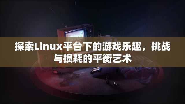 Linux平臺(tái)下的游戲探索，挑戰(zhàn)與損耗的平衡藝術(shù)  第2張