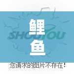 鯉魚老師，在數(shù)字海洋中暢游的歡樂游戲之旅  第1張