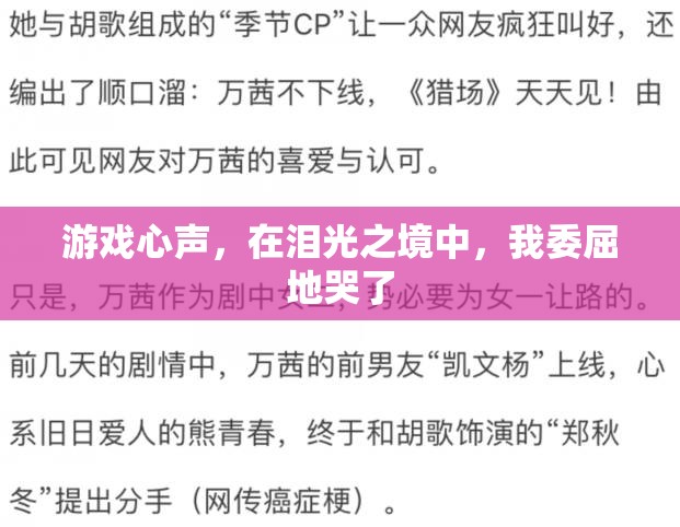 淚光之境中的游戲心聲，委屈的淚水與情感的共鳴  第1張