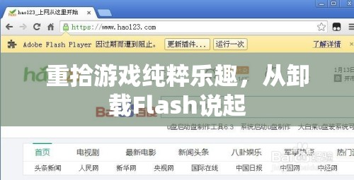 重拾游戲純粹樂趣，從卸載Flash開始的旅程  第1張