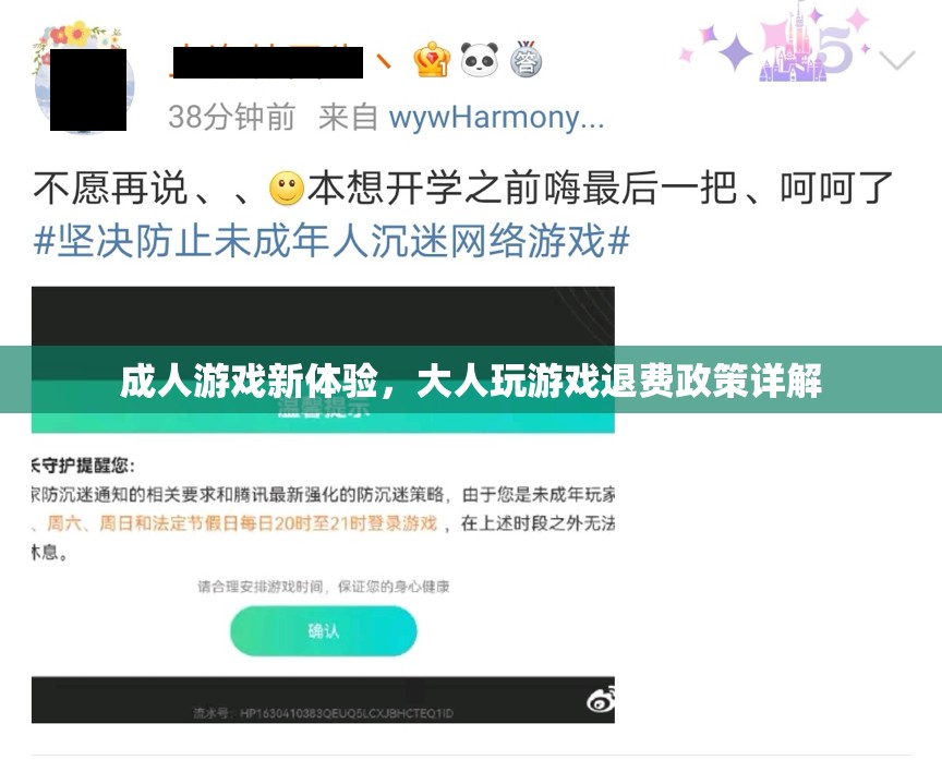 成人游戲新體驗，大人玩游戲退費政策全面解析  第3張