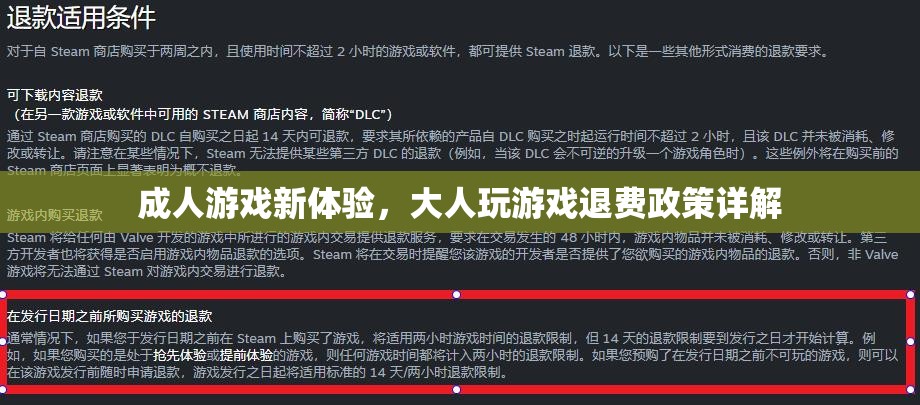 成人游戲新體驗，大人玩游戲退費政策全面解析  第2張