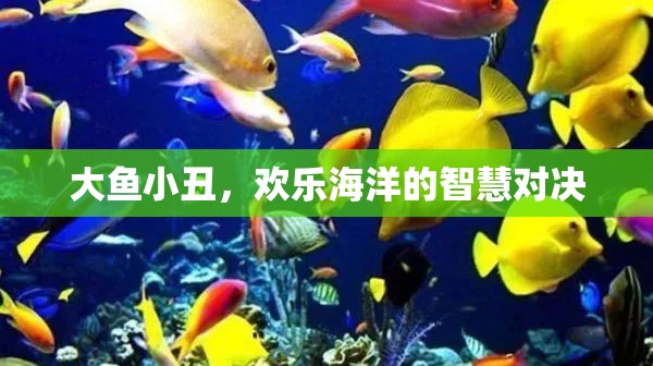 大魚小丑，智慧與歡樂的海洋對(duì)決