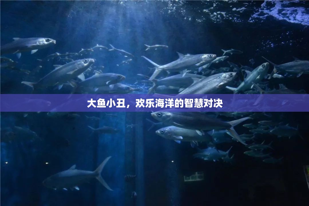 大魚小丑，智慧與歡樂的海洋對(duì)決