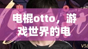 電棍otto，游戲世界的電擊風(fēng)暴  第1張