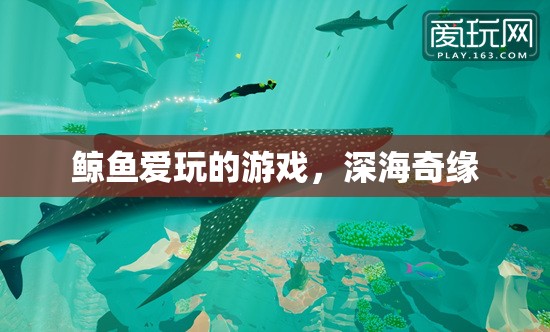 深海奇緣，鯨魚的夢幻游戲