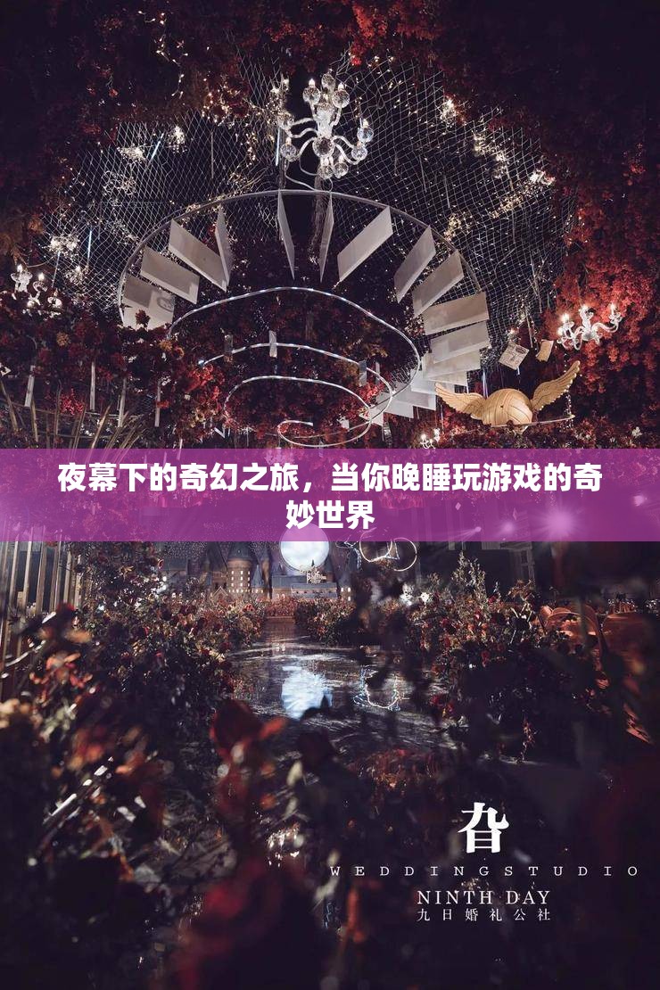 夜幕下的奇幻之旅，晚睡游戲中的奇妙世界  第1張