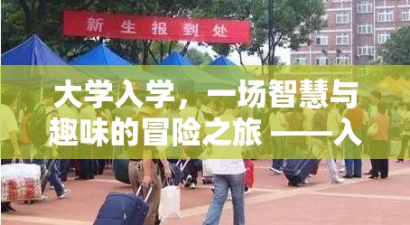 智慧與趣味的碰撞，大學(xué)入學(xué)奇境游戲之旅