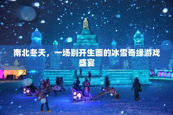 冰雪奇緣，南北冬天的游戲盛宴  第1張