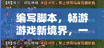 編程與娛樂的完美融合，編寫腳本，暢游游戲新境界