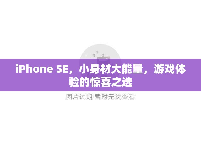 小身材大能量，iPhone SE成為游戲體驗的驚喜之選  第3張