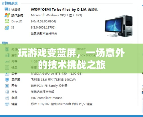 游戲藍屏，一場意外的技術(shù)挑戰(zhàn)之旅  第1張