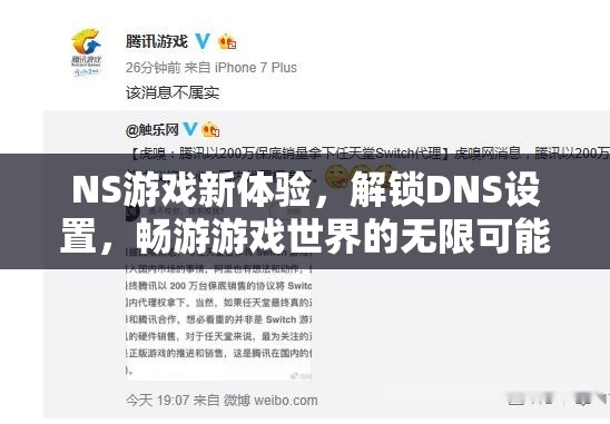 解鎖NS游戲新境界，DNS設(shè)置帶你遨游無限游戲世界  第1張