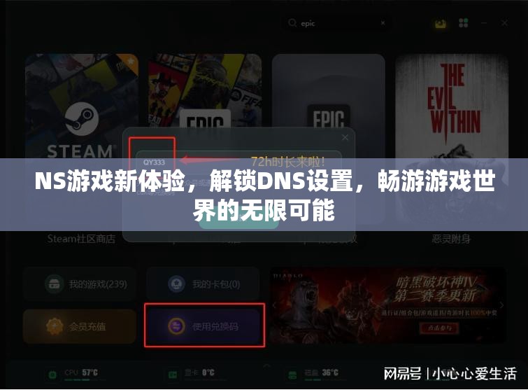 解鎖NS游戲新境界，DNS設(shè)置帶你遨游無限游戲世界  第3張