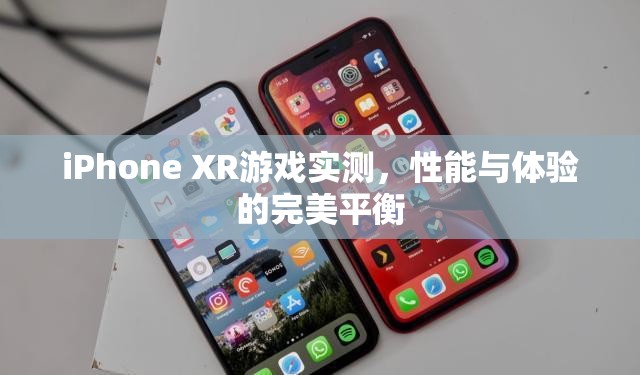 iPhone XR游戲?qū)崪y，性能與體驗的完美融合  第2張