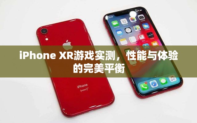 iPhone XR游戲?qū)崪y，性能與體驗的完美融合  第3張