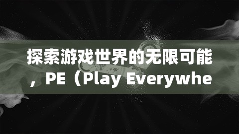 PE（Play Everywhere）的魅力與影響，探索游戲世界的無(wú)限可能  第3張