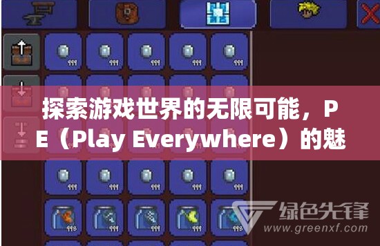 PE（Play Everywhere）的魅力與影響，探索游戲世界的無(wú)限可能  第2張