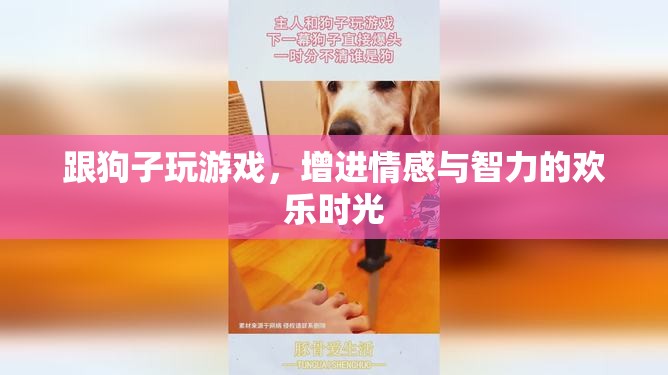 與愛犬共舞，游戲中的情感與智力成長歡樂時光  第1張