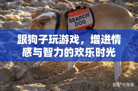 與愛犬共舞，游戲中的情感與智力成長歡樂時光  第2張