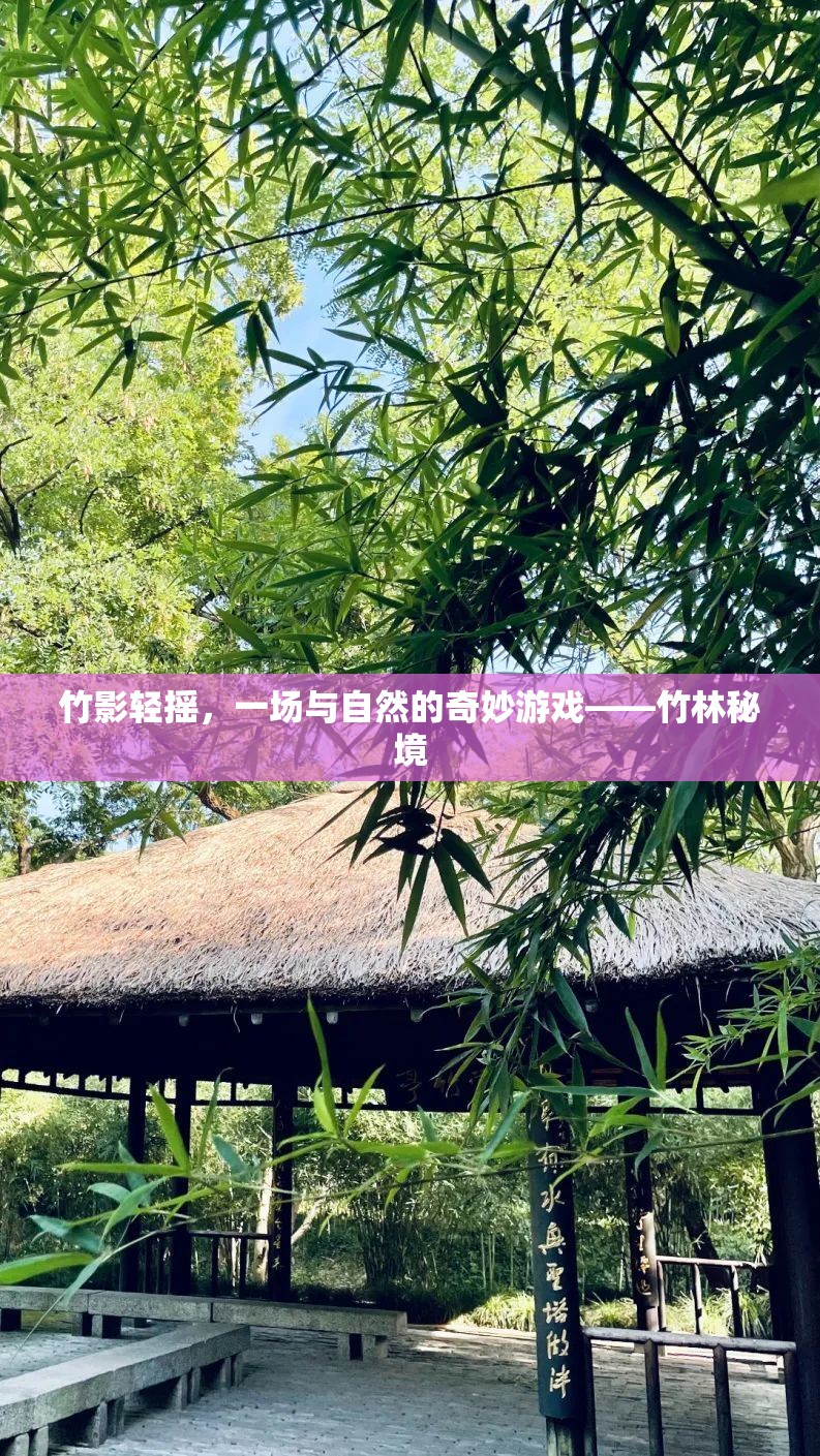 竹影輕搖，一場與自然的奇妙游戲在竹林秘境中展開