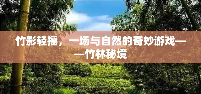 竹影輕搖，一場與自然的奇妙游戲在竹林秘境中展開