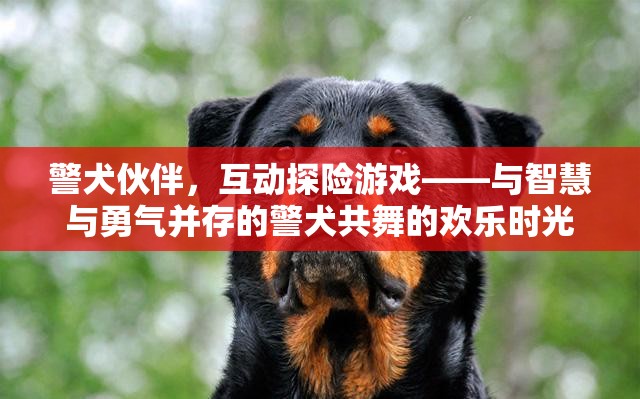 警犬伙伴，智慧與勇氣的互動探險(xiǎn)游戲  第3張