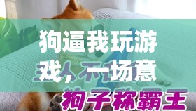 狗的‘逼迫’，一場意想不到的歡樂冒險之旅  第1張