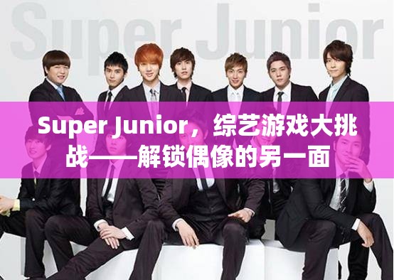 Super Junior綜藝游戲大挑戰(zhàn)，解鎖偶像的另一面  第3張