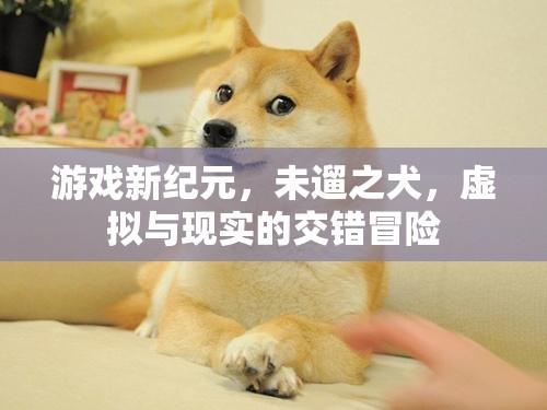 未遛之犬，游戲新紀(jì)元中的虛擬與現(xiàn)實(shí)交錯(cuò)冒險(xiǎn)