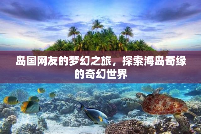 海島奇緣，島國網(wǎng)友的夢幻探險之旅  第3張