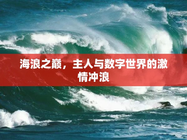 海浪之巔，數字世界的激情沖浪