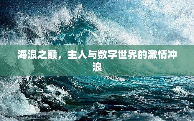 海浪之巔，數字世界的激情沖浪