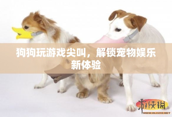 狗狗玩游戲尖叫解鎖寵物娛樂新體驗