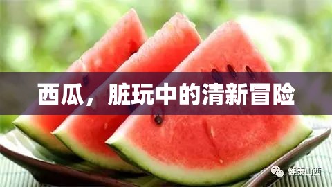 西瓜，夏日里的清新冒險(xiǎn)